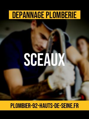 plombier pas cher de Sceaux